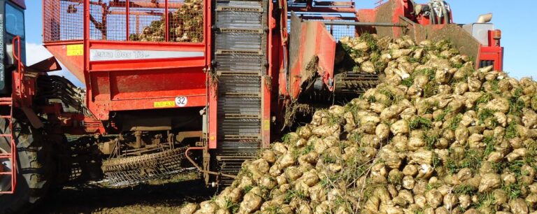 Asaja Castilla y León:  El compromiso de pago de la ayuda de la junta al sector remolachero, de la campaña 2011/2012, llega con siete años de retraso.