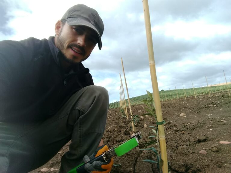 Asaja aplaude la rapidez de la Junta de Andalucía en el primer abono de ayudas a jóvenes agricultores