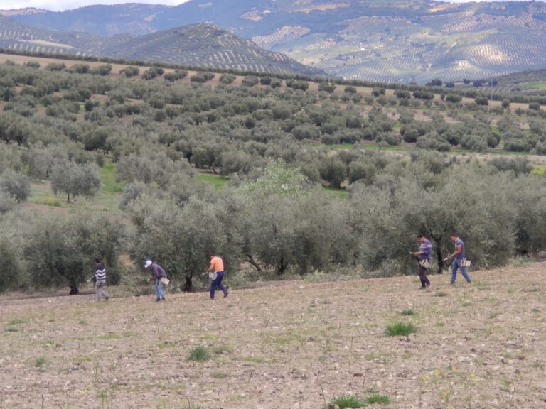Asaja  pide a La Junta que se tengan en  cuenta las especificidades de la provincia de Granada en el PDR andaluz 2023-2027
