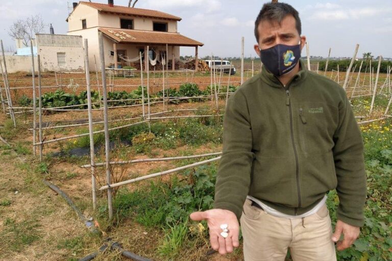 El asociado de Asaja Valencia AVA, David Bosch, elegido presidente de la Associació de Productors del Garrofó Valencià