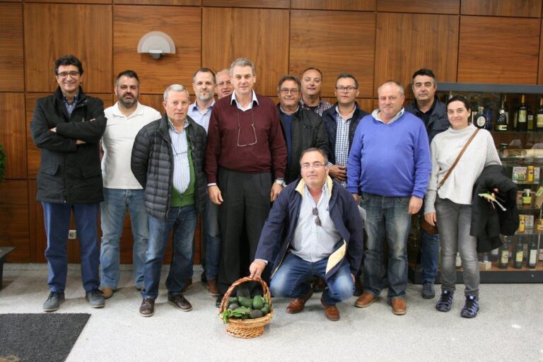 Los agricultores crean una Asociación del Aguacate para potenciar y coordinar el auge nacional del cultivo