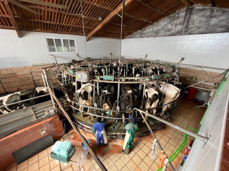 Castilla y León ya baja de las 700 granjas de vacuno de leche, tras perder 440 explotaciones desde 2018
