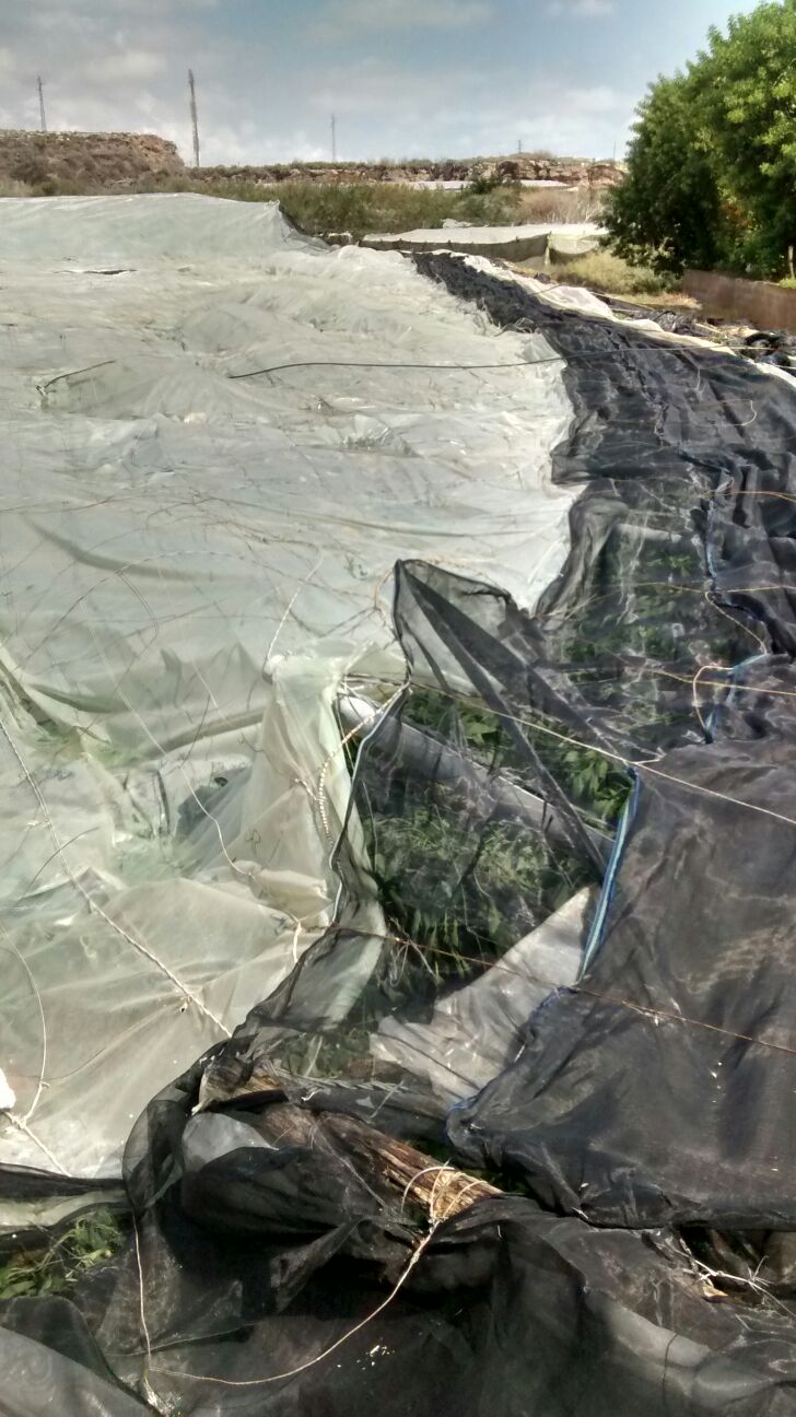 Vargas: “todavía hay agricultores que no han podido acceder a sus explotaciones”