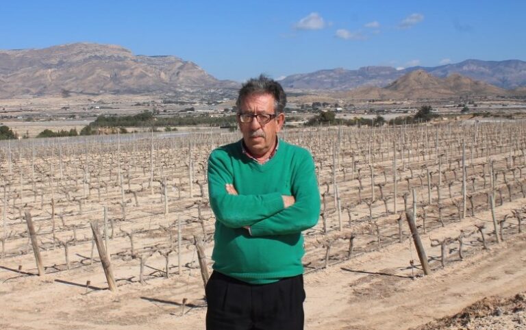 Alicante. Articulo de opinión. Manual de Mentiras