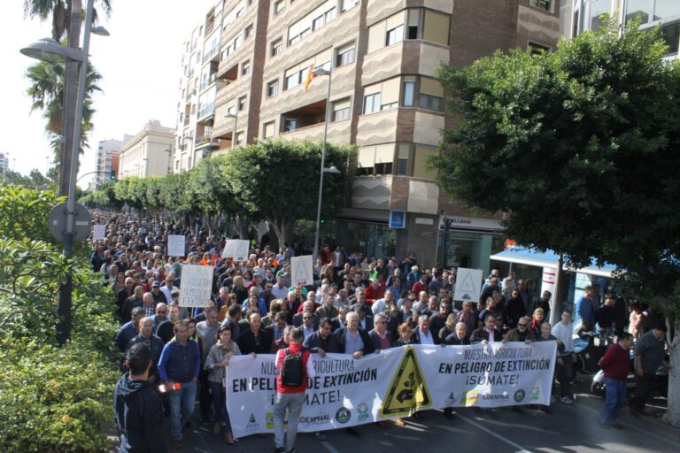 Las organizaciones del sector hortícola en Almería piden una reunión a la Comisión de Agricultura del Congreso para reclamar soluciones a la crisis
