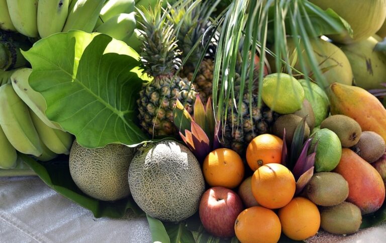 ASAGA Canarias reconoce un mayor  peso de las producciones vegetales frente a las ganaderas en el autoabastecimiento alimentario de Las Islas