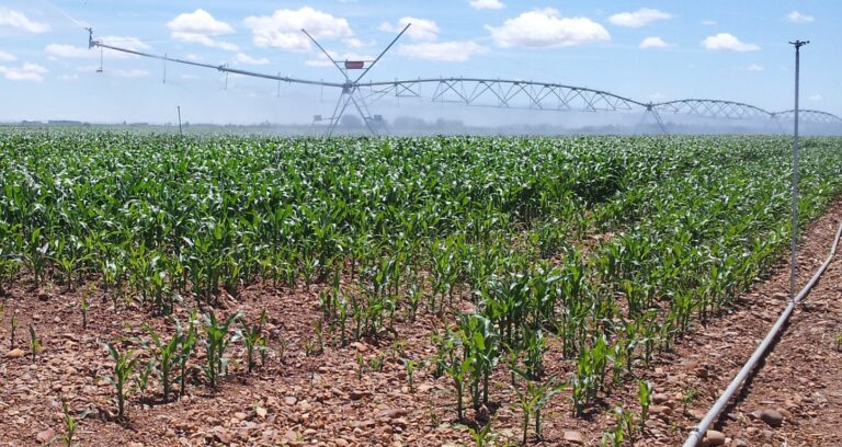Apag Extremadura Asaja considera que la quema controlada de restos agrícolas y el regadío eficiente no interfieren en el cambio climático