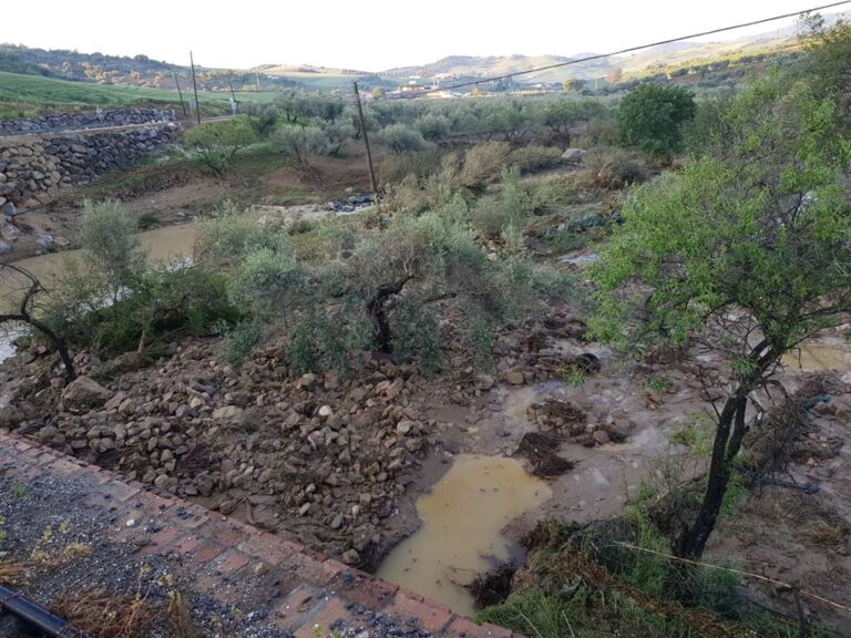 Asaja Málaga pone de manifiesto la grave situación de los agricultores afectados por la tromba de agua