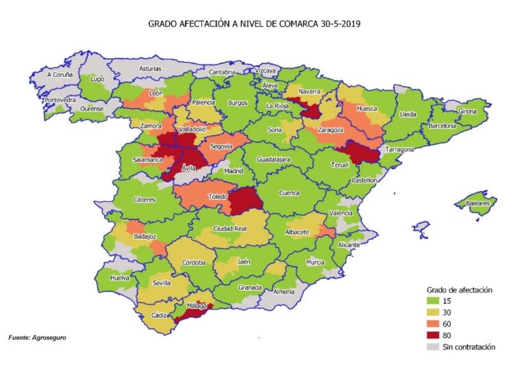 La cosecha de cereales de invierno sufrirá un severo recorte y no llegará a los 12,5 millones de toneladas