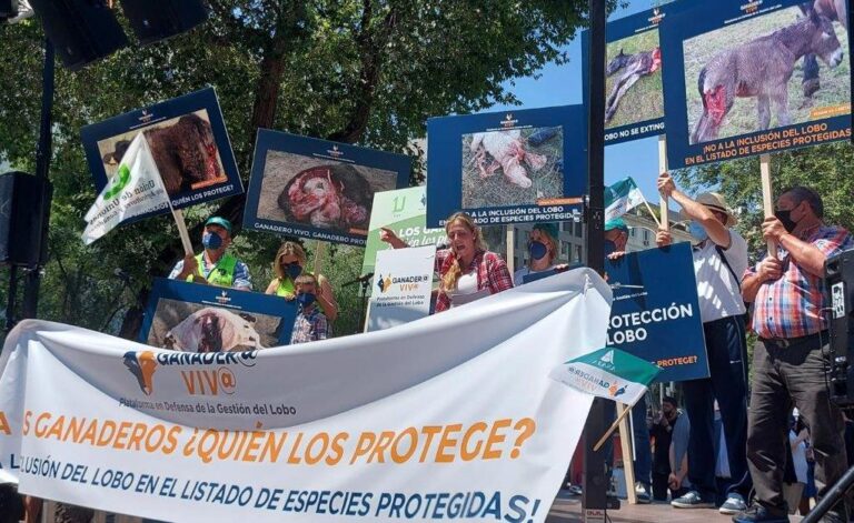 Guadalajara pide en Madrid protección para los ganaderos antes que para el lobo