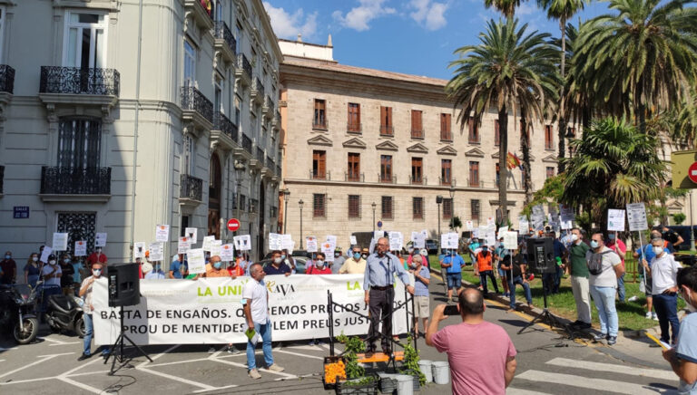 Asaja Valencia AVA y La UNIÓ reclaman hoy en Valencia herramientas para frenar el Cotonet de Sudáfrica y compensaciones por los 120 millones de pérdidas