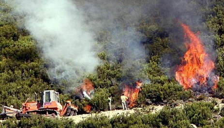 El fuego ha quemado 165.000 hectáreas en 2012