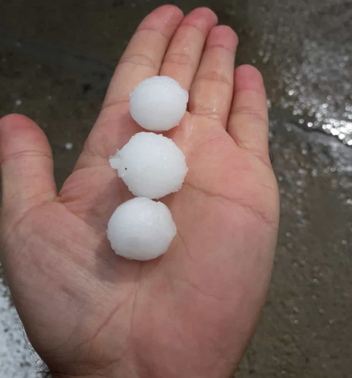Asaja Córdoba. Las tormentas provocan daños en el olivar y la dehesa del Valle del Guadiato