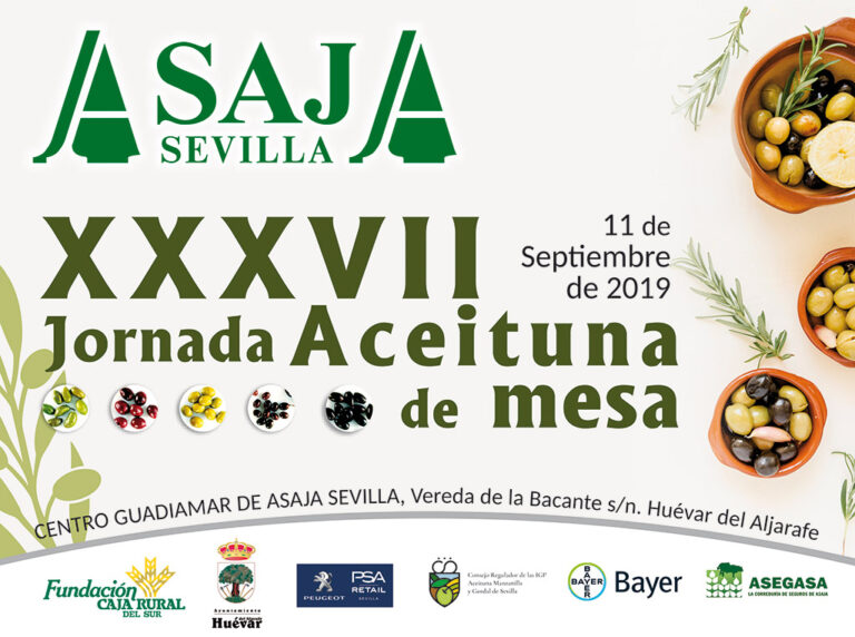 ASAJA-Sevilla celebra hoy su  XXXVII Jornada de Aceituna de Mesa