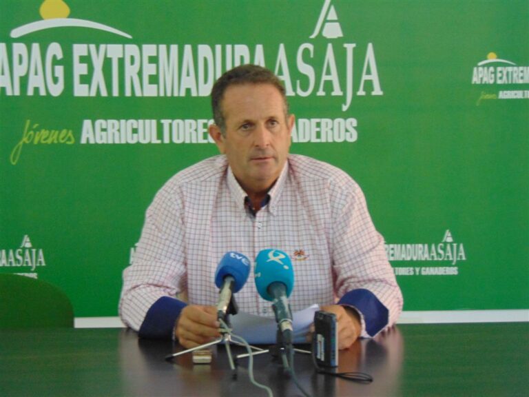APAG Extremadura ASAJA denuncia que los bajos precios del aceite sigan sin repercutir en los consumidores