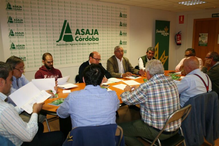 Asaja Córdoba: La sectorial de ajo estima una leve reducción de la superficie sembrada