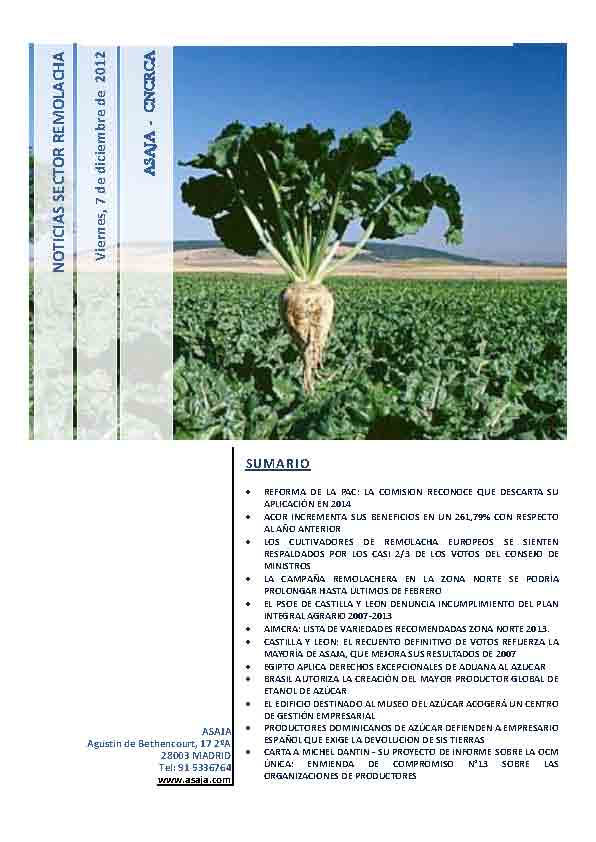 Noticias Sector Remolacha (Viernes, 7 de diciembre de 2012)