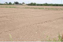 Asaja Valencia Ava pide a Hacienda que publique cuanto antes la rebaja de módulos agrarios