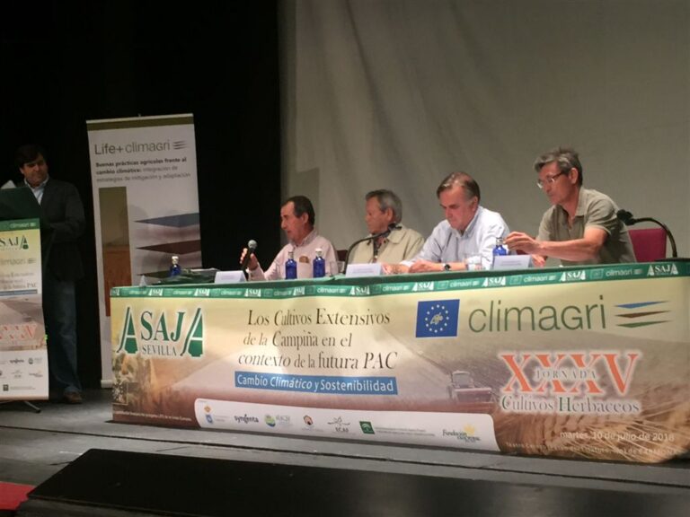 Sevilla: Es necesaria una mayor implicación de las administraciones si de verdad se quiere apostar por la extensión de la agricultura de conservación