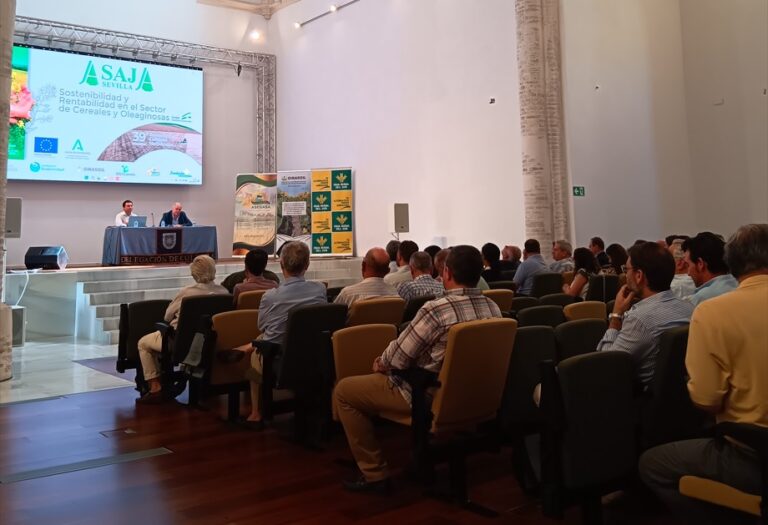 Alcanzar la rentabilidad, el difícil reto para lograr la supervivencia de los cultivos herbáceos extensivos en Andalucía