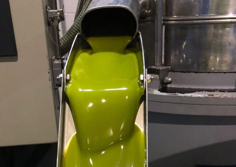 Asaja Jaén considera muy buenos los datos de comercialización al inicio de la campaña