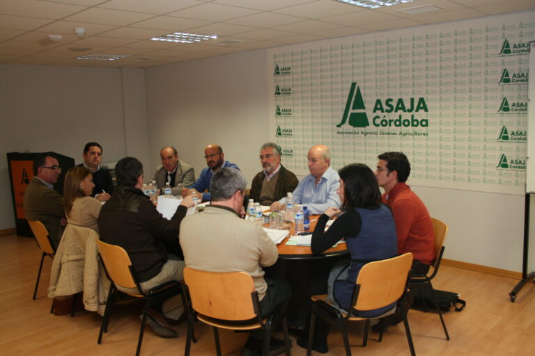 El grupo de olivar de ASAJA-Andalucía analiza la actualidad del sector