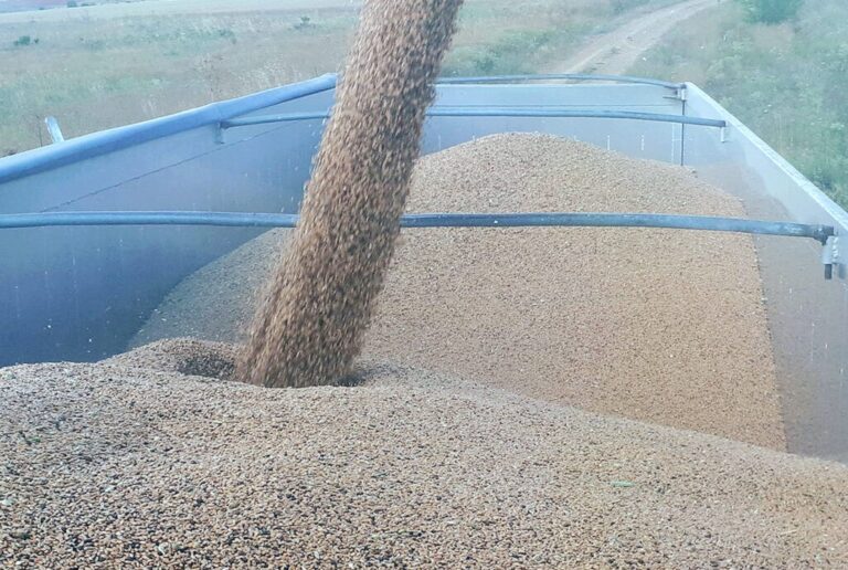 ASAJA, UPA y COAG llaman al sector agrario de Palencia a concentrarse en      el puerto de Santander el próximo lunes 18