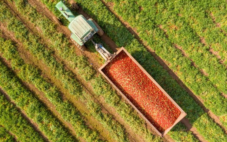 Las asociaciones del sector agroalimentario envían una carta conjunta a los Ministros de Agricultura de la UE para solicitar la protección de los fondos destinados a la promoción de productos agrícolas.