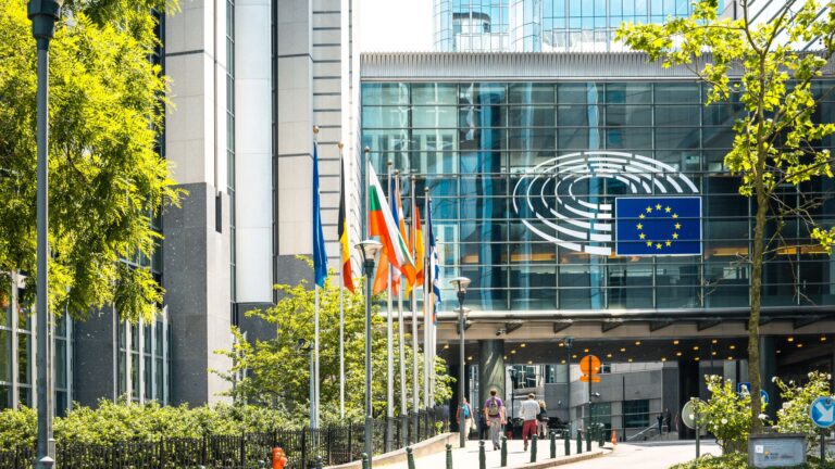 10.000 agricultores se movilizarán en Bruselas contra el enfoque de la UE hacia la agricultura