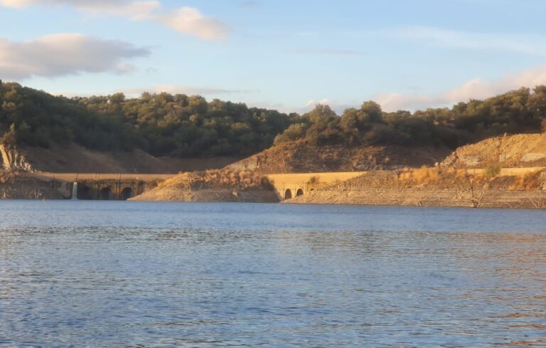 Asaja, Coag, Upa y Cooperativas demandan la ampliación y mejora de los riegos en Córdoba