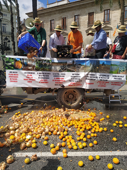 Cientos de agricultores y tractores de AVA-ASAJA y CCPV-COAG reclaman en Valencia medidas urgentes al Gobierno