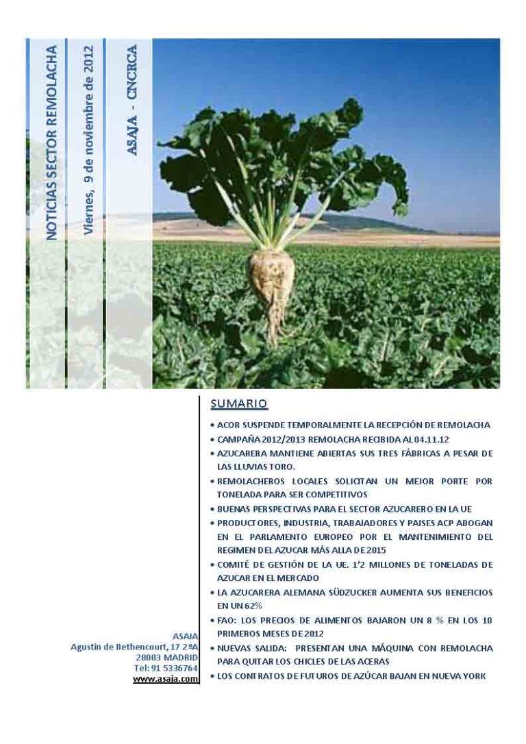Noticias Sector Remolacha (Viernes, 9 de noviembre de 2012)