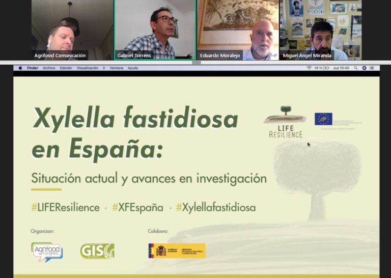 El presente y el futuro de Xylella fastidiosa en España a debate en el nuevo webinar del proyecto LIFE Resilience