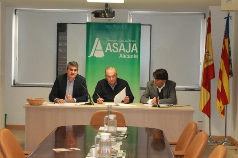 La peor campaña citrícola en 15 años, los efectos de la DANA en las hortalizas y los preciosos ruinosos de la uva del Vinalopó condenan el año agrario 2019 a un descenso del valor económico del 28%