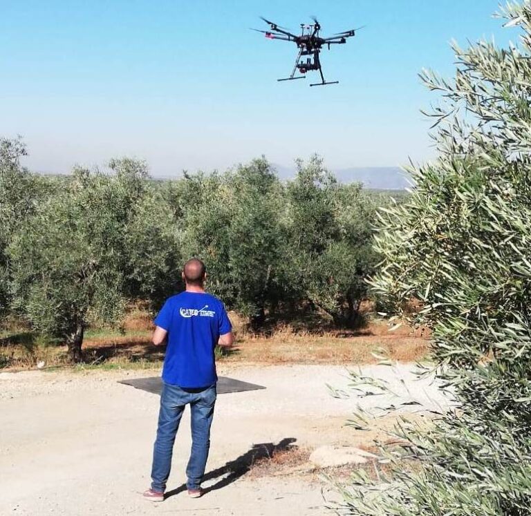 Asaja Córdoba destaca la importancia de la aplicación de las nuevas tecnologías al olivar