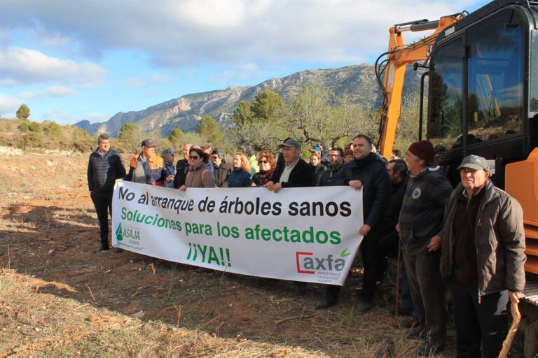 Afectados por la Xylella Fastidiosa paran las máquinas que iban a triturar los almendros en una parcela de Castell de Guadalest