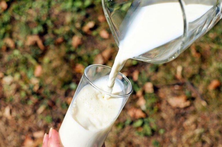 Asaja Asturias rechaza la decisión de las industrias lácteas de bajar el precio de la leche    al ganadero