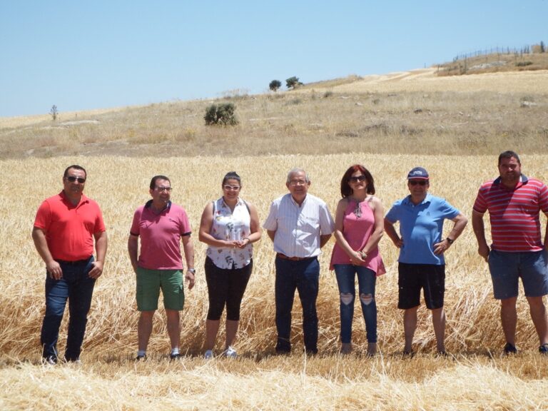 Asaja Almeria califica como excelente el inicio de la cosecha de cereal en la provincia