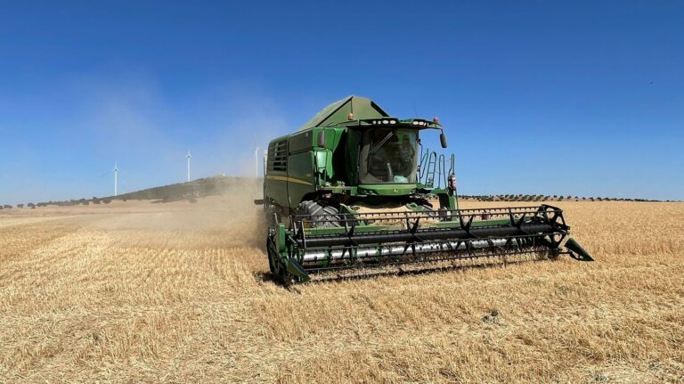 La FAO incrementa su pronóstico sobre la producción mundial de cereales para el 2022