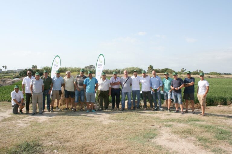 AVA-ASAJA y Agriges presentan en La Albufera un tratamiento nutricional ecológico para el arroz