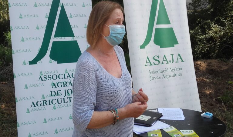 Asaja Barcelona. Balance de la cosecha de cereales 2020: Un año que es preveía cosecha histórica, las lluvias y los hongos provocan un 25% menos de cosecha