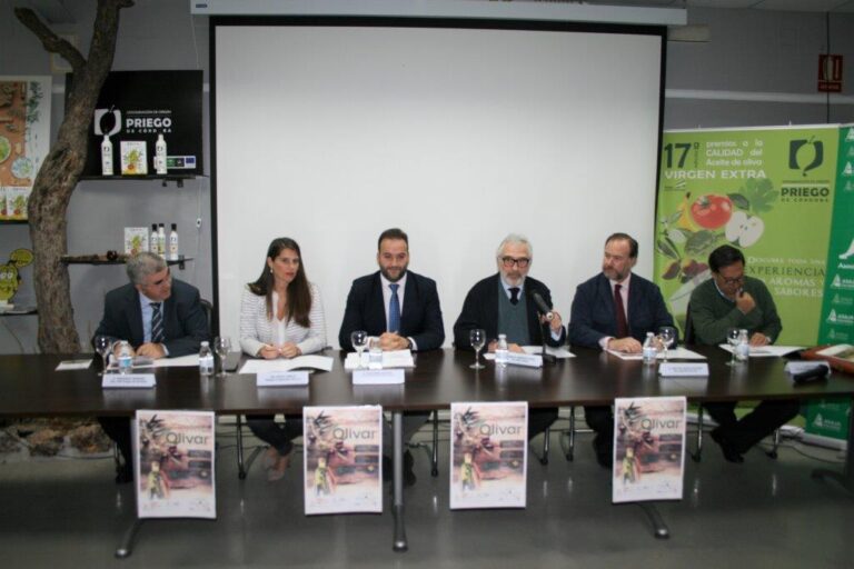 Los agricultores abordan posibles mecanismos de regulación del mercado del aceite de oliva