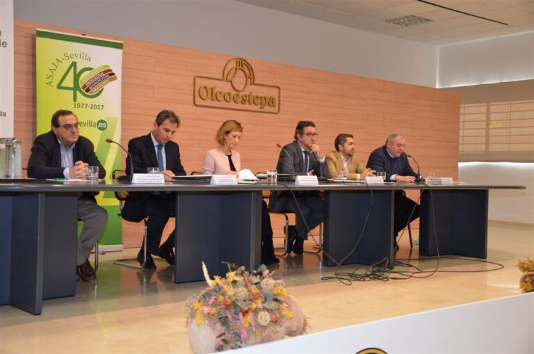 Asaja Sevilla. La calidad, la reconversión, la internacionalización y la innovación son las señas de identidad del olivar español