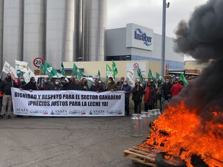 Asaja. El Gobierno no puede permanecer impasible ante la ruina de los ganaderos de vacuno de leche