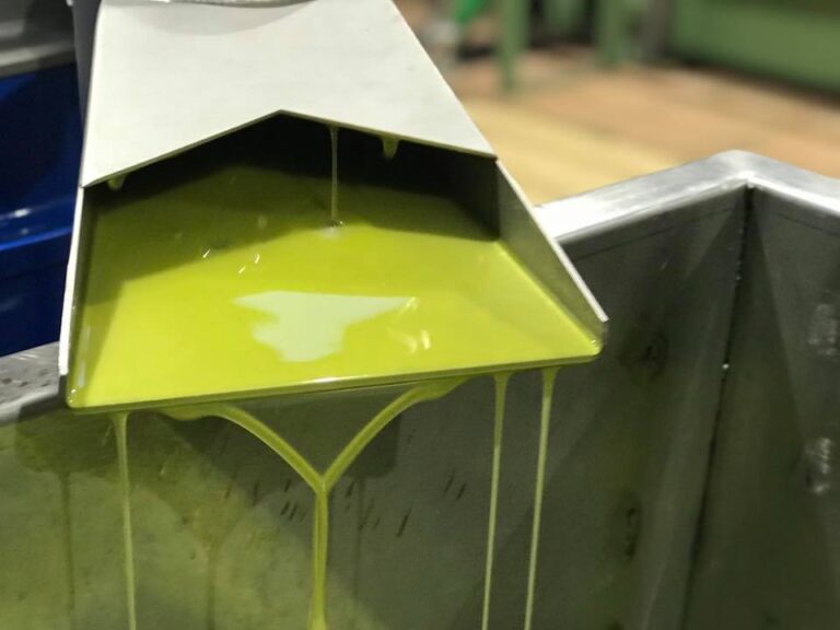 Jaén produjo hasta diciembre 240.681 toneladas de aceite