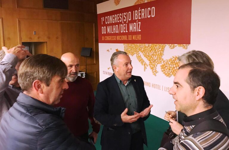 Asaja Castilla y León pide medidas de ámbito político y económico para propiciar el avance del cultivo del maíz, principal alternativa para el regadío