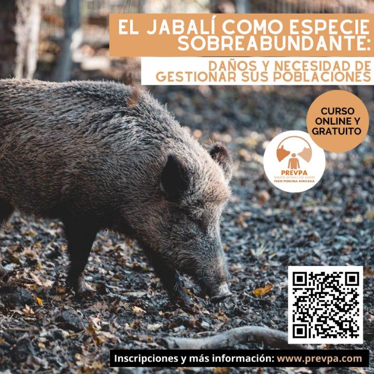 El GO PREVPA lanza un curso en línea centrado en la sobreabundancia y control poblacional del jabalí