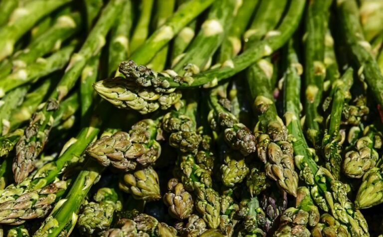 Asaja Granada La Orden de Reducción de Módulos no satisface las necesidades del campo granadino