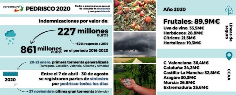 Las tormentas de pedrisco, cada vez más frecuentes y más violentas, dejan 861 millones en indemnizaciones en la agricultura en los últimos cinco años