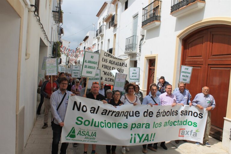 Más de medio millar de personas se manifiestan en contra del plan de erradicación que está aplicando la Conselleria de agricultura
